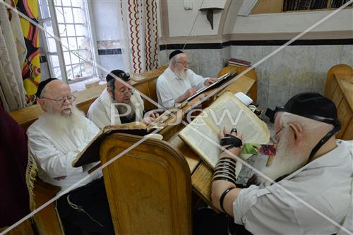 Torah learning