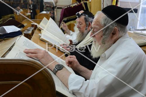 לימוד תורה