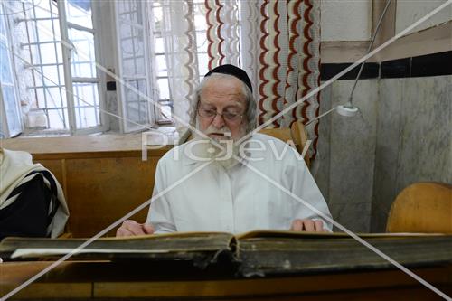 לימוד תורה