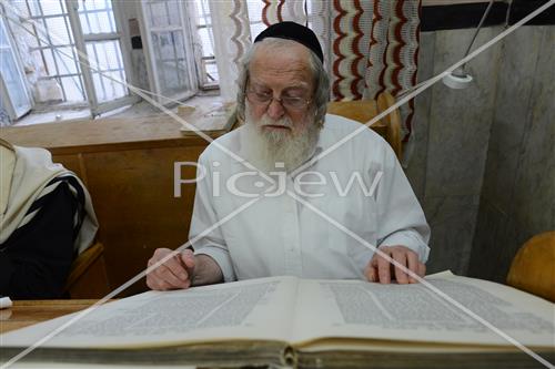 לימוד תורה