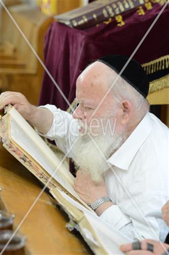 לימוד תורה