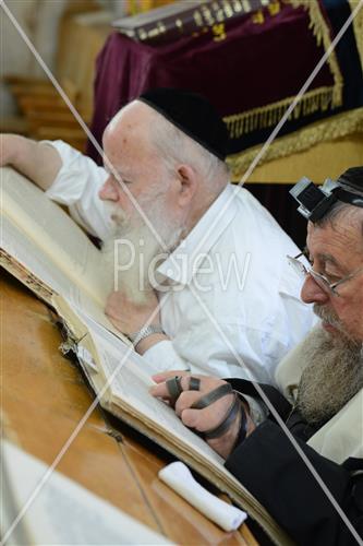 לימוד תורה