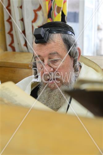 לימוד תורה