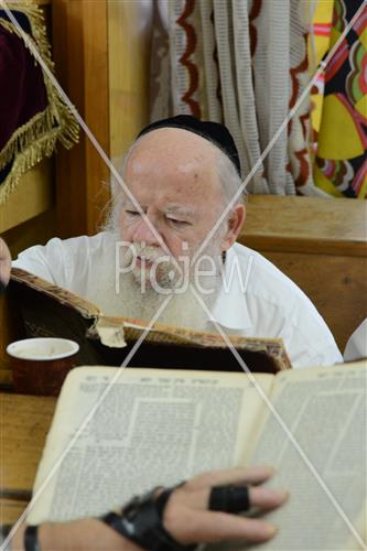 לימוד תורה