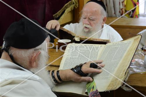 לימוד תורה