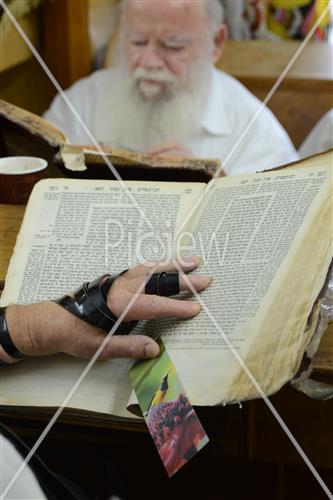 לימוד תורה