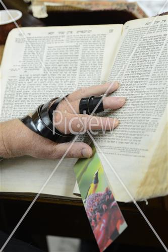 לימוד תורה