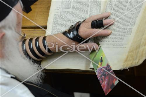Torah learning