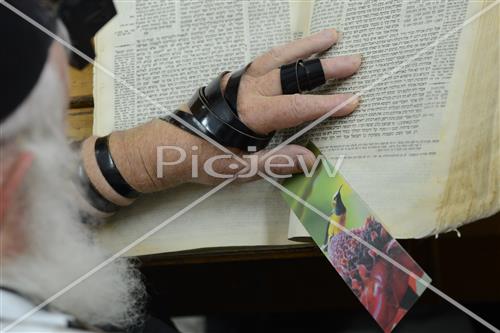 לימוד תורה