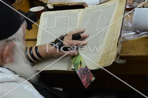 לימוד תורה