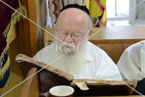 Torah learning