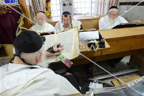 לימוד תורה