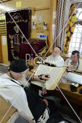 Torah learning