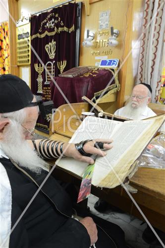 Torah learning