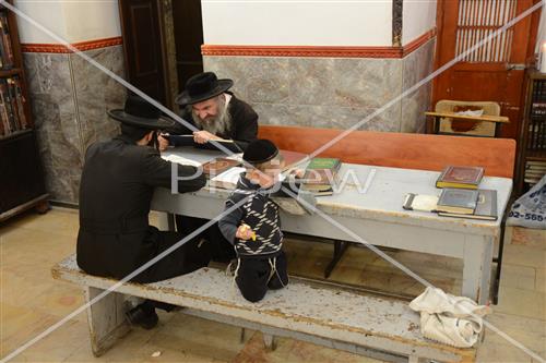 לימוד תורה