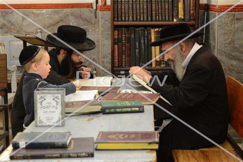 Torah learning