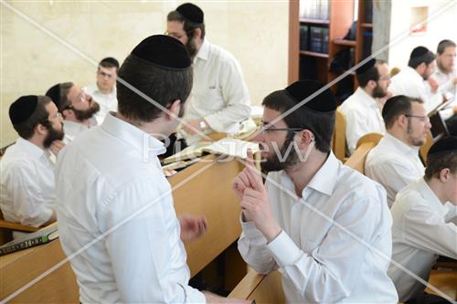 Torah learning