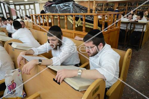 Torah learning
