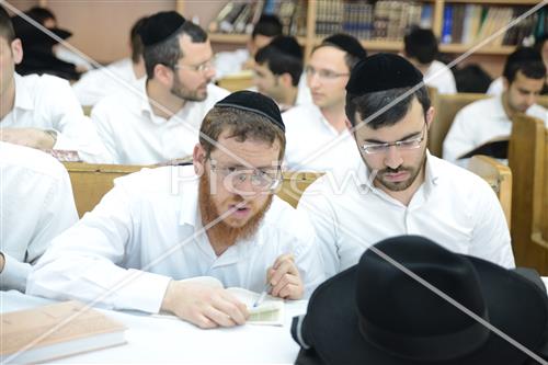 לימוד תורה