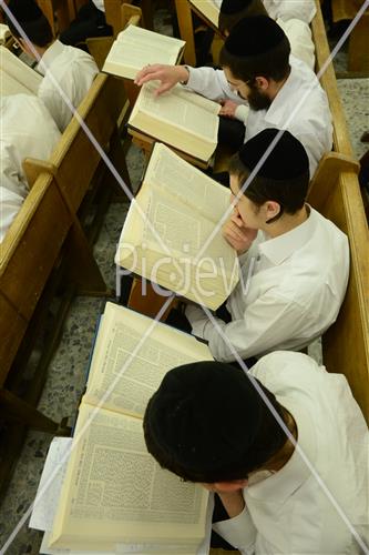 לימוד תורה