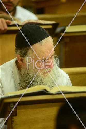לימוד תורה