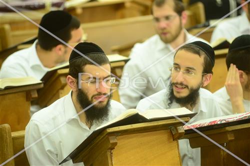 לימוד תורה