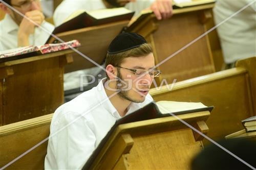 לימוד תורה