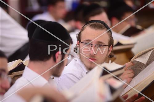 לימוד תורה