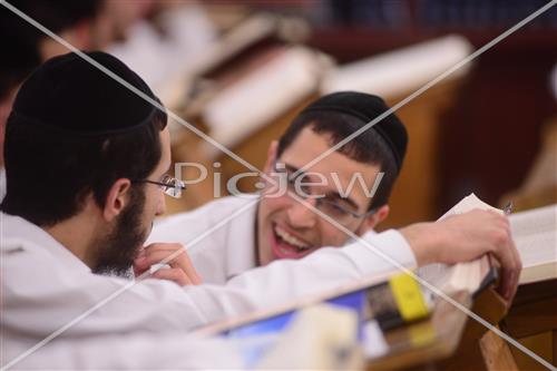 לימוד תורה