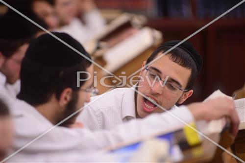 לימוד תורה