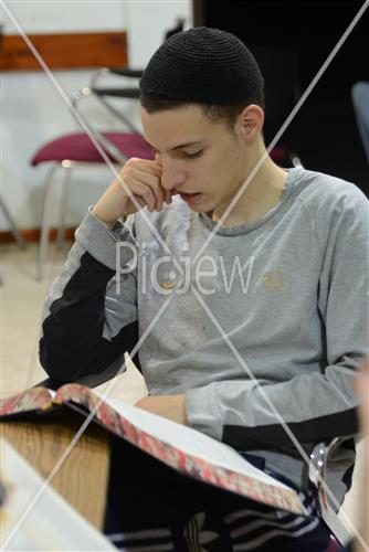 לימוד תורה
