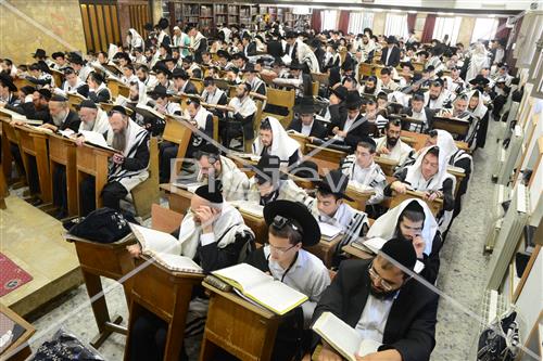 לימוד תורה