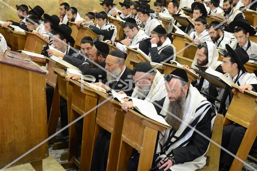 לימוד תורה