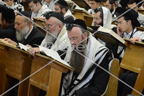 Torah learning