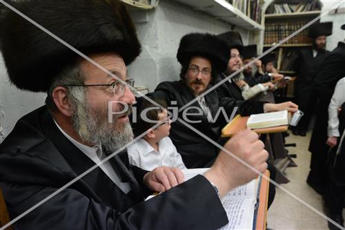 Torah learning