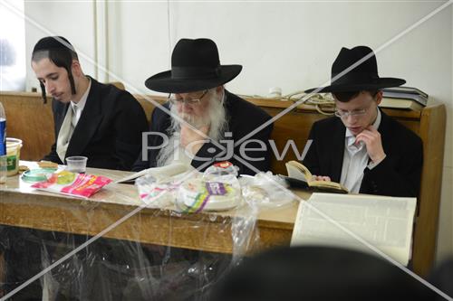 Torah learning
