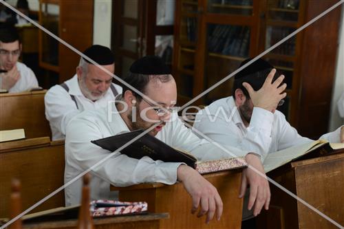לימוד תורה