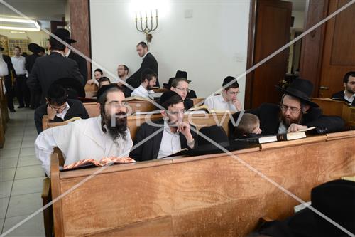 לימוד תורה