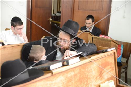 לימוד תורה