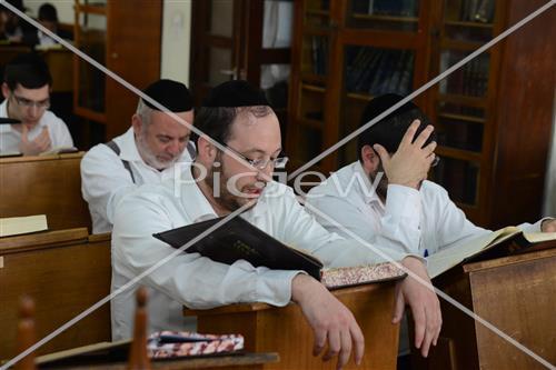 Torah learning