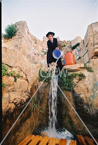 Maim Shelanu