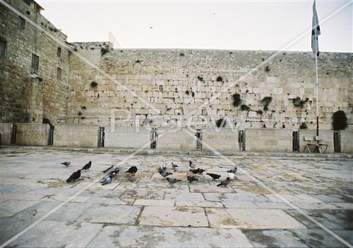 Prayer near the Kotel