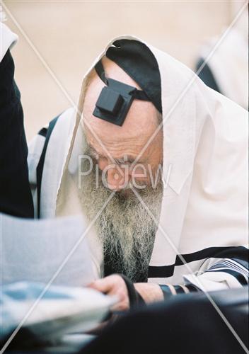 Prayer near the Kotel