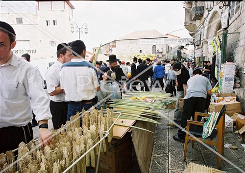 שוק ארבעת המינים