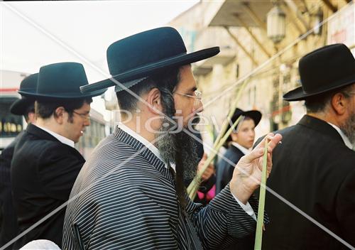 שוק ארבעת המינים