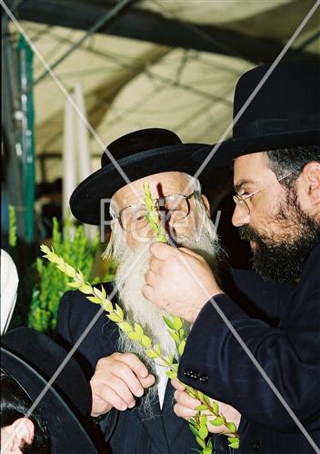 שוק ארבעת המינים