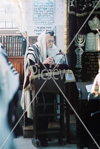 Rabbi Eliashiv