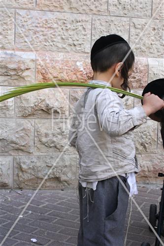 Boy holding lulav