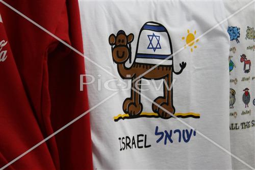 כללי