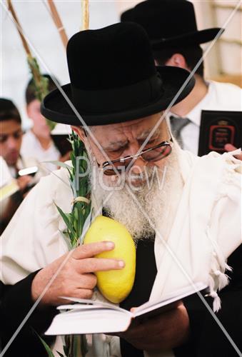 Rabbi Ovadia Yosef